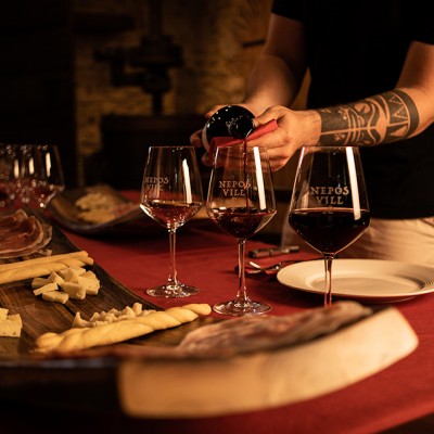 Villa, braccia e cuore - Degustazione dei vini di Nepos Villae 20.05.2022