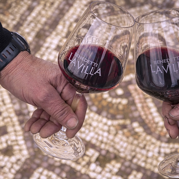 The Roman villa of Negrar: a glass of wine among the mosaics - Tasting of the wines of Benedetti la Villa 27.05.2022