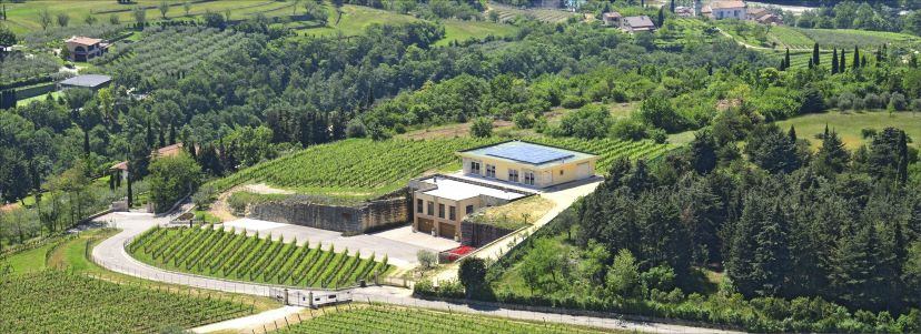 Piccoli winery: girl power in Valpolicella