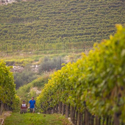 Valpolicella, a wine paradise