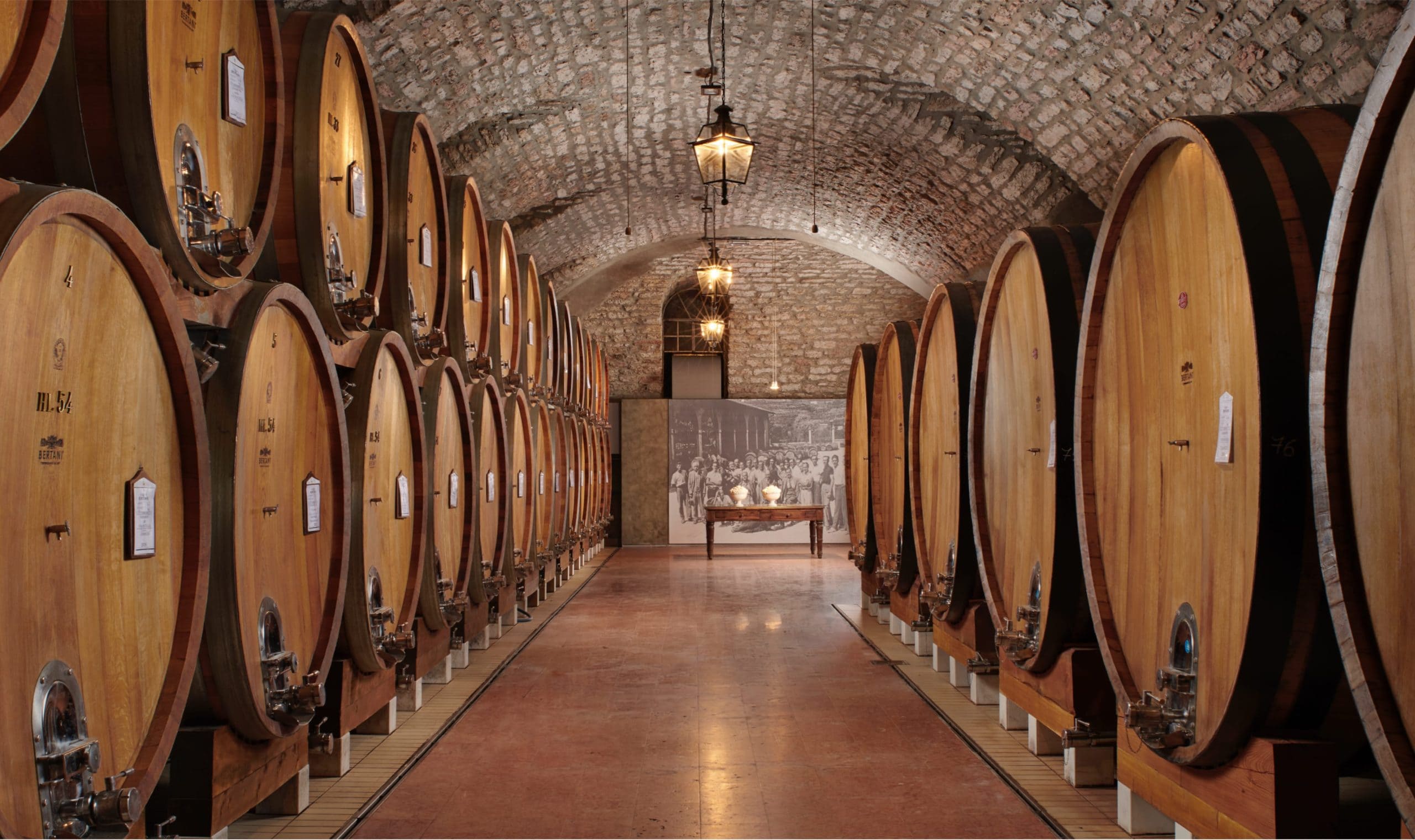 Bertani