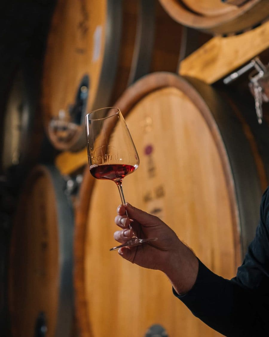 Degustazione Bertani
